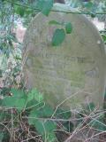 image of grave number 443871